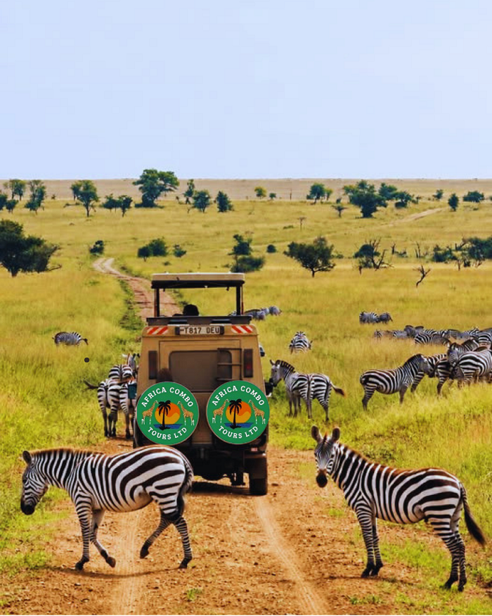 5 Days Kenya Tanzania Safari Package
